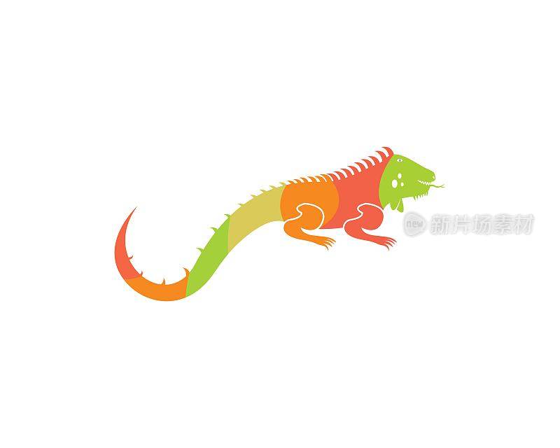 Chameleon  design vector full color